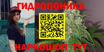 первитин Будённовск