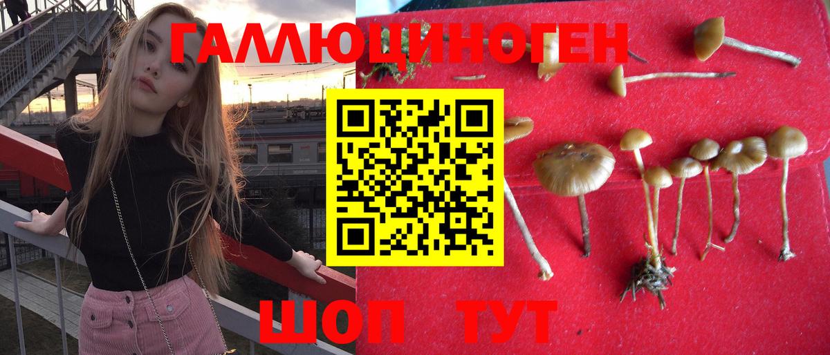 Псилоцибиновые грибы ЛСД  Вход с VPN  Галлюциногенные грибы ЛСД  Ревда 