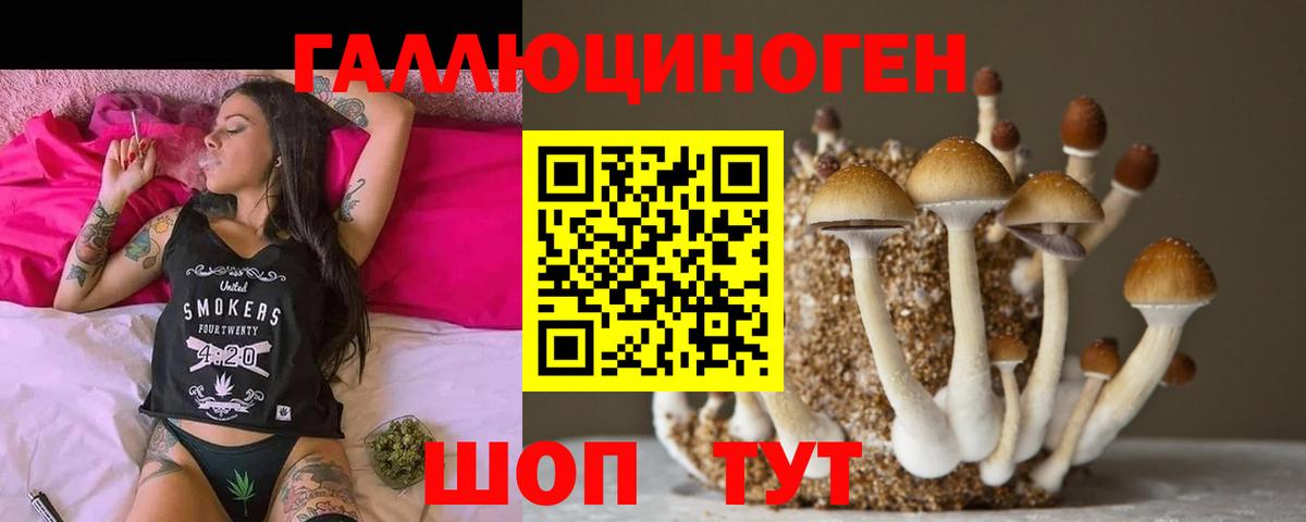 Псилоцибиновые грибы MAGIC MUSHROOMS Ревда